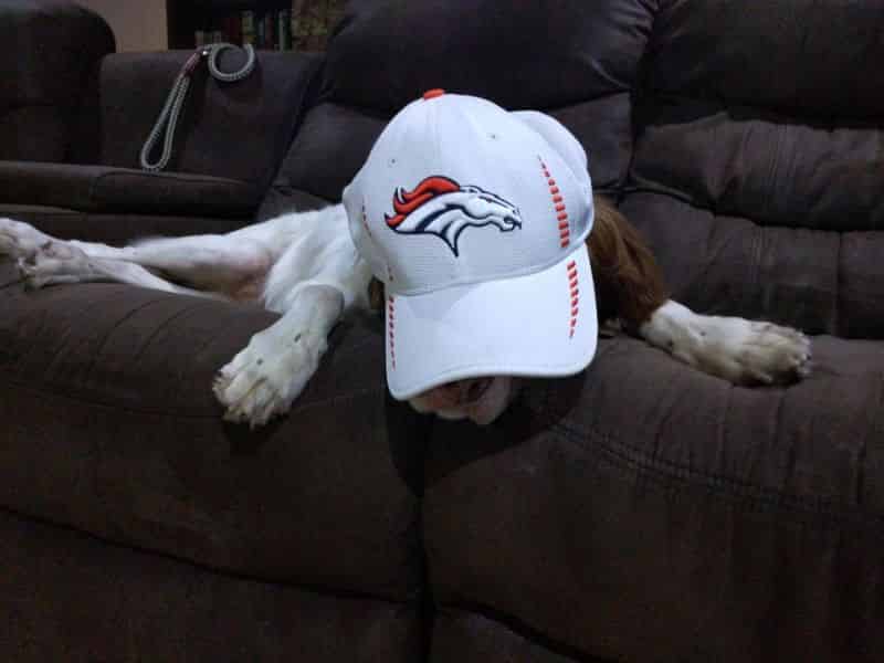 Worn out after watching some Thursday Night football.